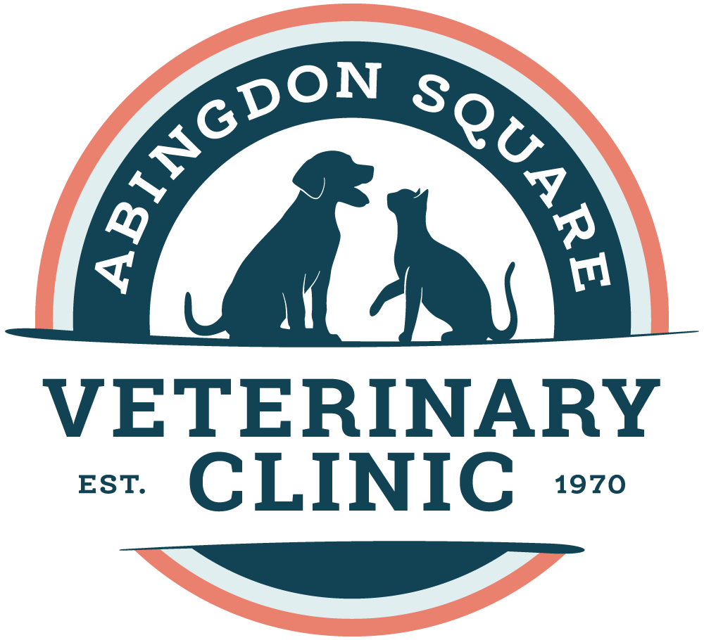 Pet veterinary store clinic near me