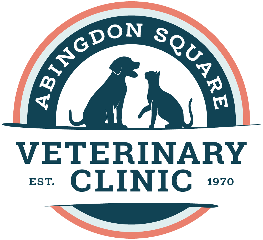 Vet On West 10th Street New York NY 10014